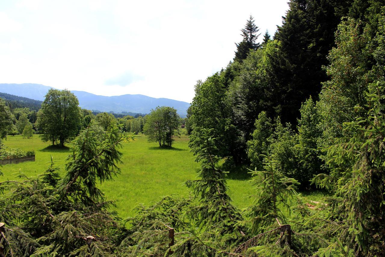 Zawoja Chaty Gorskie D4 Esterno foto